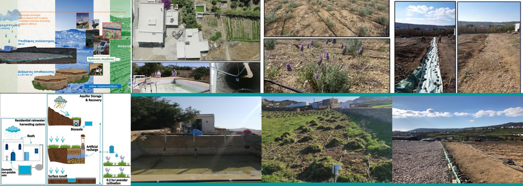 CARDIMED collage background